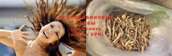 прущие крисы Абаза
