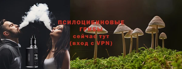 прущие крисы Абаза