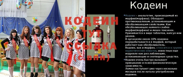 прущие крисы Абаза