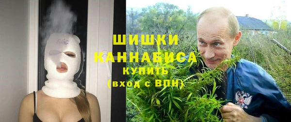 прущие крисы Абаза