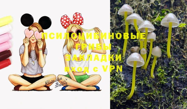 прущие крисы Абаза